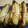 maruru-nn's cooksnap of when they made 手羽中の塩麹焼き.