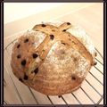 momomieko's cooksnap of when they made ショコラオレンジカンパーニュ 自家製酵母.