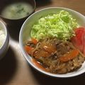 クックIOGZR3☆'s cooksnap of when they made 子供もパクパク！ご飯がすすむしょうが焼き.