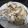 akra's cooksnap of when they made おつまみ★餃子の皮でパリっとろ～.