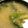 クックZ69KDS☆'s cooksnap of when they made 離乳食後期　にんじん大根ほうれん草味噌汁.