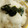クックZ69KDS☆'s cooksnap of when they made とろろかけご飯(麦とろ飯).