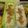 なかやん。。。's cooksnap of when they made 簡単常備菜☆ご飯のお供に鶏そぼろ☆.