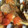 USACO66's cooksnap of when they made ☆えびとあさりと鯛のアクアパッツァ♪.