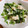 ぽよぽよぽよっちょ's cooksnap of when they made ほうれん草の白和え.