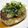 robicat's cooksnap of when they made おろし豆腐ハンバーグ　万能だれがけ.