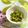 ☆こまっと☆'s cooksnap of when they made ブロッコリーのおかか和え.