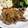 ぬたもち's cooksnap of when they made 砂肝のネギ塩炒め！.
