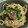 ゆい11312's cooksnap of when they made 冷凍うどんの簡単ねぎ焼きうどん.