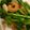 ありまちとも's cooksnap of when they made 塩麹漬けむきえびと菜の花の炒め物.