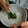 つくニャー's cooksnap of when they made 子供も納得　ほうれん草の胡麻和え.