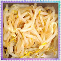 Emiii28's cooksnap of when they made 作り置きに！大量もやしのナムル.