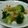 miyaken0's cooksnap of when they made ブロッコリーのクルミ和え.