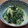 ＊まめゴマ＊'s cooksnap of when they made ねぎとわかめのぬた.