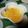 海イグアナ's cooksnap of when they made 文旦たっぷりゼリー.