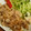 ☆まこちゃん☆'s cooksnap of when they made 簡単豚こまのしょうが焼き.