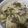 けろりんばぁちゃん's cooksnap of when they made あまった野沢菜De焼きうどん♪.