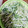 ・ρ・？'s cooksnap of when they made 簡単☆安くて栄養満点☆もやしと豆苗炒め.