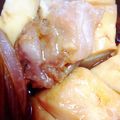さるとき's cooksnap of when they made 【ルクエ】簡単すぎる肉豆腐.