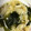 さんこうけいみい's cooksnap of when they made お弁当に ワカメとうすあげのさっと煮.