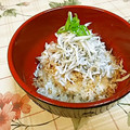 ミラクルぷっちょ's cooksnap of when they made 我が家の簡単しらす丼.