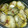 ゆかたんッ's cooksnap of when they made 牡蠣とエリンギのアヒージョ.