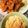 ＊もこ＊もこ＊'s cooksnap of when they made 基本のタルタルソース!.