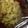 クックZ8J4H4☆'s cooksnap of when they made ささみときゃべつの胡麻和えサラダ.