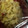 クックZ8J4H4☆'s cooksnap of when they made ささみときゃべつの胡麻和えサラダ.