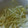 ma___111's cooksnap of when they made もやしのナムル風 !?.