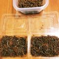 ネコズキ's cooksnap of when they made 神戸のおかんになりたい☆いかなごのくぎ煮.