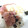 タマ姉's cooksnap of when they made トロとろろ丼（ネギ抜き！）.