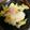 抹茶もつこ's cooksnap of when they made 白菜とベーコンのたいたん.