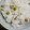 ゆっこ１５６'s cooksnap of when they made 簡単☆炊飯器で豆ごはん.