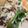 kokakokko's cooksnap of when they made ○牛肉野菜炒め○.