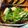 ゆぼ☆'s cooksnap of when they made 鶏胸肉のソテーにマスタードソースを添えて.