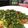 じょび（＾◇＾）'s cooksnap of when they made 竜田揚げを黒酢の効いたねぎダレで！！.