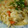 みほほ☆'s cooksnap of when they made ちっちゃいおかず・もやしと豆腐の炒め物.