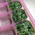 ありんこ☆★'s cooksnap of when they made 離乳食 初期☆豆腐と小松菜のペースト.