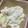 音瀬☆'s cooksnap of when they made 豆腐とアボカドのマヨわさび醤油和え.
