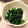 タニカゼ's cooksnap of when they made お弁当に☆定番・ほうれん草のごま和え.
