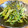 yuki808's cooksnap of when they made 超簡単☆セロリと豆苗とたくあんの炒めあえ.