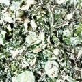 クック3ZM808☆'s cooksnap of when they made ✿ひじきと茎ワカメのしゃきしゃきサラダ✿.