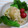 すがみほ's cooksnap of when they made セロリとツナのあっさり和え☆.