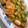 ひとり食堂's cooksnap of when they made レタスと鶏肉のオイスター炒め.