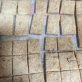 むゅみ's cooksnap of when they made 薄力粉と蜂蜜混ぜるだけのおからクッキー.