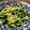 holodoc's cooksnap of when they made ほうれん草としらすのピリ辛和え♪簡単.