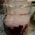 のぽすけ's cooksnap of when they made やまもも酒♪.