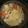 shiirao's cooksnap of when they made 簡単！柔らかもつ煮.