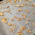 pomponn's cooksnap of when they made 万能！蒸し生姜！.